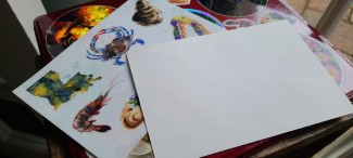 Photo showing the back of the sticker sheet.